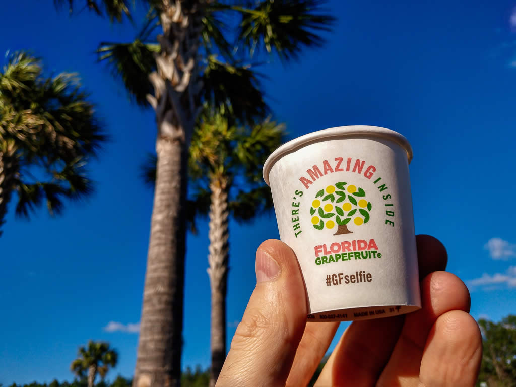 Florida Juice Cup