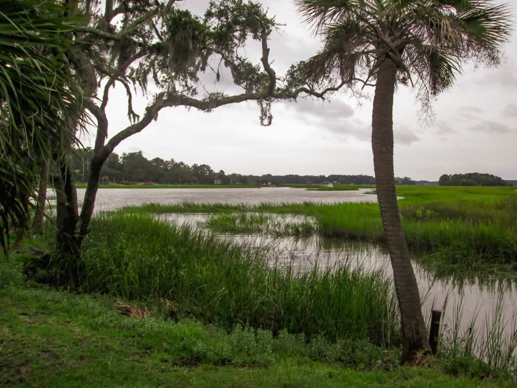 Georgia Savannah Hush Puppies
