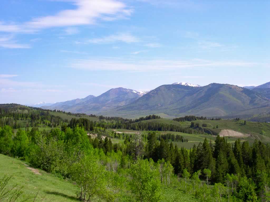Idaho